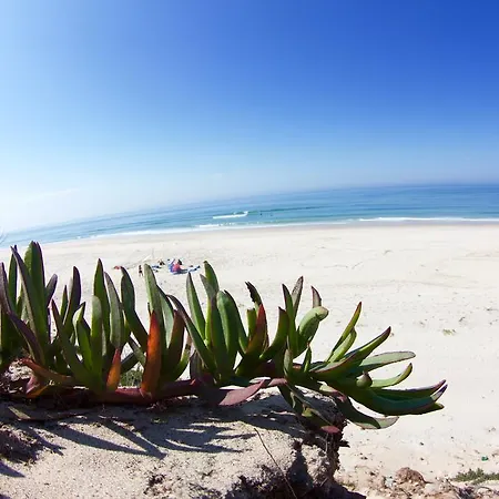 Hostal Oporto Surf Camp Esmoriz